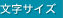 font size change